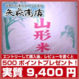 【送料無料】24年産山形県産はえぬき玄米30kg