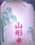 22年産　山形県産　はえぬき玄米　30kg送料無料！期間限定！プロ好みのお米山形はえぬきは冷めてもおいしい特A米！ギリギリ特価でご提供！