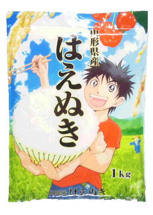 【送料無料お試し米】23年産山形県産はえぬき白米1kgはえぬきのおためし米です。送料込み価格です。