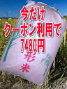 【送料無料】25年産山形県産ひとめぼれ玄米30kg【沖縄3000円加算】【クーポン利用で1500円OFF】