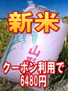 【新米】【送料無料】26年産山形県産はえぬき玄米30kg【沖縄3000円加算】【10月上旬より順次発送】クーポン利用で1000円OFF