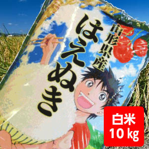 【送料無料】29年産山形県産はえぬき白米10kg【沖縄離島別途500円加算】