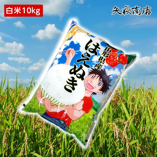 【送料無料】1年産山形県産はえぬき白米10kg【沖縄別途1000円加算】