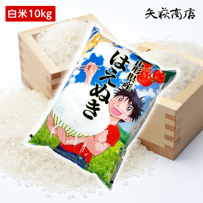 【送料無料】令和3年産 山形県産 はえぬき 白米10kg【沖縄別途1000円加算】