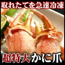 かに爪フライに、特大ズワイガニ爪　（カニの爪）1kg　4L（21〜25個入り）　/蟹　【楽ギフ_のし】ズワイガニ爪/蟹爪