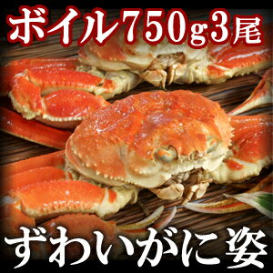 かにみそたっぷりボイルズワイガニ（ずわいがに姿）750g×3尾/蟹【ギフト】...:yaizu:10000782