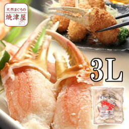 カニ爪（ボイル 本 ズワイガニ）殻付き 3L 1kg（26～30個入）カナダ産 【送料無料】沖縄へは700円加算 極上品 春 新生活 母の日 ギフト プレゼント 手巻き寿司 海鮮丼