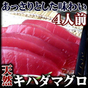 天然キハダマグロ（きはだまぐろ）4人前　400g　/鮪　