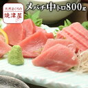 メバチマグロ(ばちまぐろ) 中とろ 8人前(約800g) 天然 物 極上品 【送料無料】北海道、沖縄へは700円加算 お歳暮 ギフト 贈り物に 年末年始の配達予約可能です