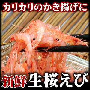 駿河湾産 高級 生桜海老（桜エビ）200g　【楽ギフ_のし】静岡/駿河湾産/生桜えび/桜エビ