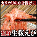 地元駿河湾産 高級 生桜えび（さくらえび）　500g　