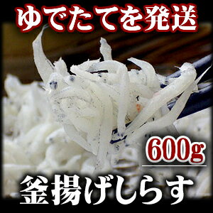 築地で一番評価高い 静岡遠州灘産 水揚げ当日発送 釜揚げしらす 600g　