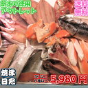 お魚アウトレット 大ボリュームの3KUp...