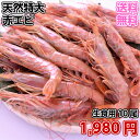 【送料無料】天然あかエビ特大サイズ 10尾 天然無添加 生食用天然えび 酒のおつまみのえび ジャンボエビフライ