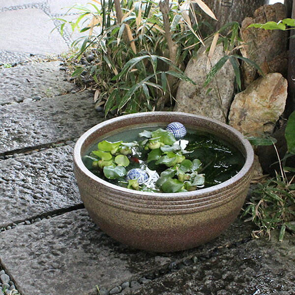 メダカ鉢 おしゃれな睡蓮鉢/金魚鉢/金魚鉢にも最適 睡蓮鉢/陶器スイレン鉢/ハス鉢/はす鉢/めだか鉢...:yakimono:10001252