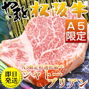 松阪牛（松坂牛） シャトーブリアン ヒレ ステーキ 【A5等級】等級限定 1枚100g【松阪牛 まつざかぎゅう 牛肉 和牛】