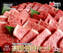 焼肉極上1kg セット【 送料無料】 お中元 贈答 【リニューアル記念価格で47%OFF】日本一売れている焼肉店の味★ バーベキューにも 焼肉 焼き肉 やきにく ヤキニク バーベキューセット