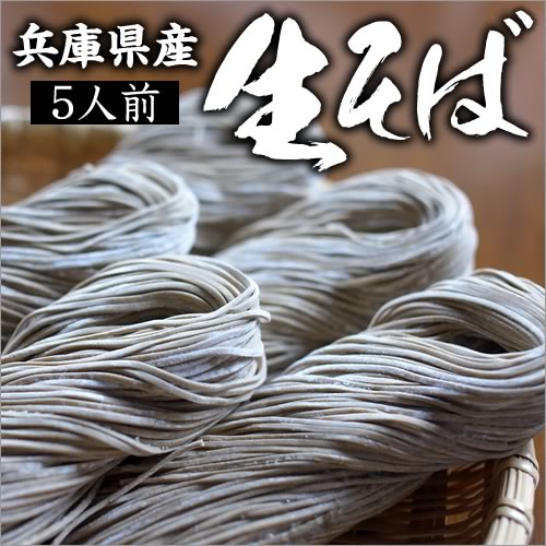 【送料無料】【つゆなし】兵庫県産そば粉使用の冷凍生そば5人前打ちたてそばをすぐに冷凍保存♪風味そのまま！夜久野そば本舗の原点の味をお届け【10P20Apr12】干麺＆半生麺で人気の夜久野そば本舗からついに冷凍生そばが登場♪打ちたてをそのままお届け。