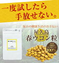 屋久島春ウコン粒(80粒)【送料・税込】無農薬/屋久島産/春うこん/粒/健康食品/送料無料/05P03Dec16