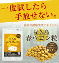 屋久島春ウコン粒(300粒)【送料無料】【無農薬・有機栽培・高品質】無農薬/有機/サプリメント/粒/屋久島産/春うこん/健康食品/