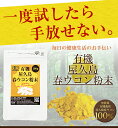 屋久島春ウコン粉末(100g)【無農薬・有機栽培!!100%屋久島産春ウコン】無農薬/サプリメント/粉末/屋久島産/春うこん/健康食品/