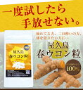 屋久島春ウコン粒(300粒)【無農薬・有機栽培・高品質】無農薬/有機/サプリメント/粒/屋久島産/春うこん/健康食品/