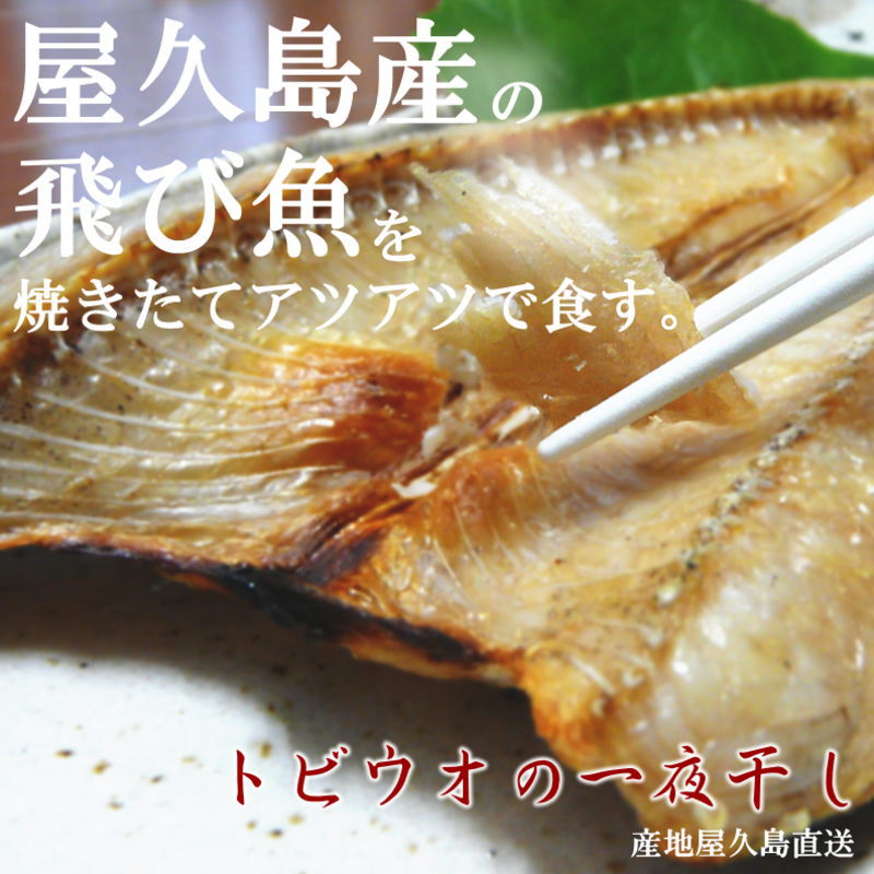 飛び魚ときびなご 16 5月11日 芋焼酎 薩摩の味と呑みくらべ