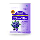 小林製薬　ブルーベリー30粒（約30日分）