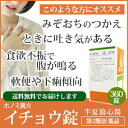 【第2類医薬品】ホノミ漢方 イチョウ錠 半夏瀉心湯[ はんげ...