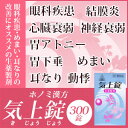 【第2類医薬品】ホノミ漢方 気上錠[ きじょうじょう/キジョ...