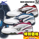 ミズノ MIZUNO テニスシューズ 砂入り人工芝&クレー仕...