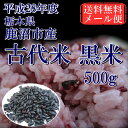 【送料無料】平成28年度古代米栃木県鹿沼市産黒米500gゆうパケット便【RCP】02P29Jul16