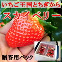 栃木県産いちごスカイベリー 1箱約300g(6〜9個)×2パ...