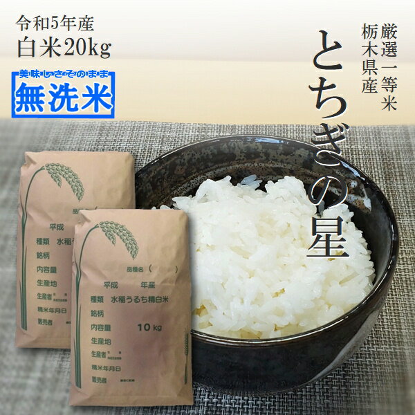 米 20kg (10kg×2袋) 無洗米 送料無料とちぎの星 令和5年産 栃木県 精米 白米あす楽対応 平日14時までのご注文は当日出荷します。北海道・九州沖縄一部離島は別途送料500円掛かります。お米 20キロ 大嘗祭