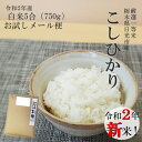 新米 令和2年 お試し 米 送料無料コシヒカリ 750g(5...