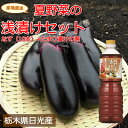 栃木の新鮮野菜浅漬けセットなす10本+たまり漬けの素採れたて栃木の野菜を限定販売