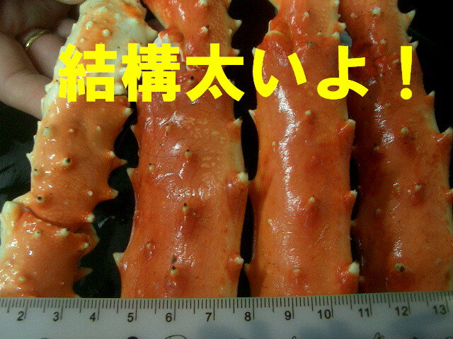 δָꡧɤ֥ɡޥ륿Х5L̵