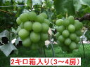 翠峰 2キロ箱(3~4房前後)