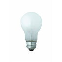 【ポイント10倍!】東京メタル LDA2L-GW20W-TM LED電球 (一般電球形・全光束170lm/電球色相当・口金E26)