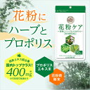 【山田養蜂場】花粉ケア 90粒(約30日分) ギフト プレゼント サプリメント 健康補助