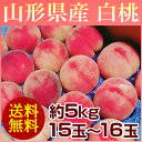 【送料無料】山形県産 白桃 約5kg (15〜16玉) 訳あ...