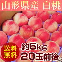 【送料無料】山形県産 白桃 約5kg (20玉前後) 訳あり...