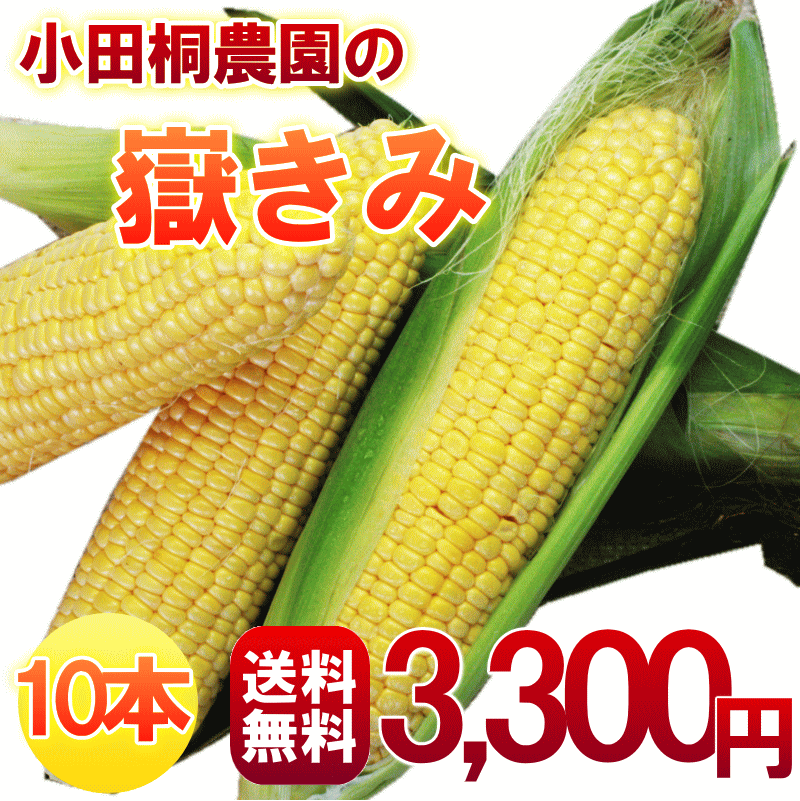 青森小田桐農園の 10本 とうもろこし約4kg(秀・Lサイズ)　発送：9月上旬〜10月上旬テレビや雑誌で話題の極甘とうもろこし秘密のケンミンshowに登場！