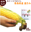 とうもろこし【送料無料】青森産【嶽きみ/だけきみ】10本 3...