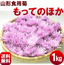 【送料無料】山形県産　食用菊【もってのほか】1kg(100g×10パック)