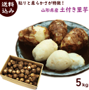 里芋 さといも【送料無料】山形産【土つき里芋】5kg(Mサイズ以上)品種は指定できません