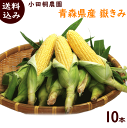 とうもろこし 送料無料 青森 小田桐農園 嶽きみ 10本 約...