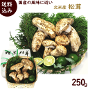 まつたけ 送料無料 北米産 松茸(まつたけ) 特選 250g (2~10本) 大きさにばらつきあり