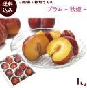 送料無料 山形県 板坂さんの プラム 秋姫 1kg (8~10個)