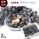 ぶどう 送料無料 山形産 スチューベン 2kg (7〜10房)